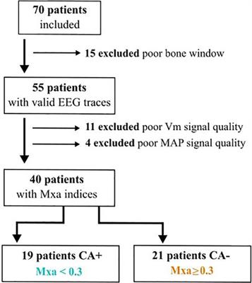 Cerebral autoregulation and cerebral blood flow response to mean arterial pressure challenge following induction of general anaesthesia for neuroradiology procedure